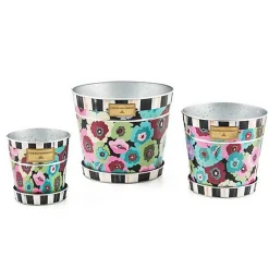 Always Flowers Pots  Saucers, Set of 3