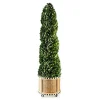 Basket Weave Spiral Large Boxwood Topiary