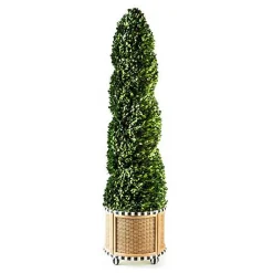 Basket Weave Spiral Large Boxwood Topiary