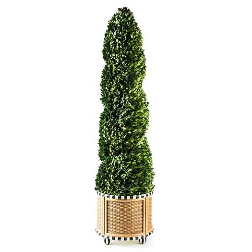 Basket Weave Spiral Large Boxwood Topiary