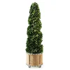 Basket Weave Spiral Medium Boxwood Topiary