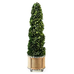 Basket Weave Spiral Medium Boxwood Topiary