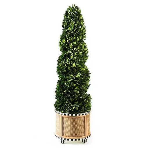 Basket Weave Spiral Medium Boxwood Topiary