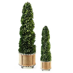 Basket Weave Spiral Medium Boxwood Topiary