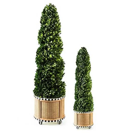 Basket Weave Spiral Medium Boxwood Topiary