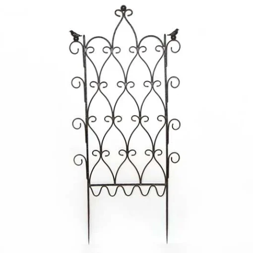 Bird on Ball Trellis
