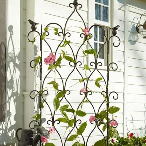 Bird on Ball Trellis