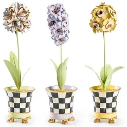 Botany Potted Allium Flower