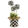 Botany Potted Hyacinth Arrangement