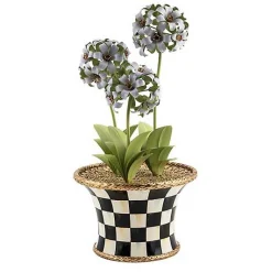 Botany Potted Hyacinth Arrangement