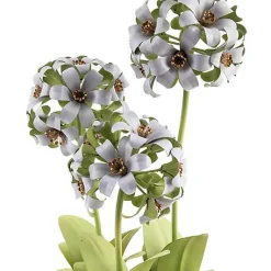 Botany Potted Hyacinth Arrangement