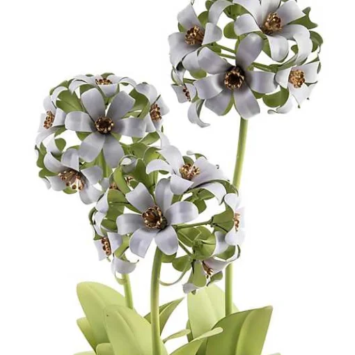 Botany Potted Hyacinth Arrangement