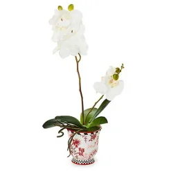 Cardinal Toile Medium Orchid