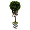 Courtly Boxwood Topiary Small Drop In