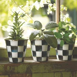 Courtly Check Herb Pots, Set of 3