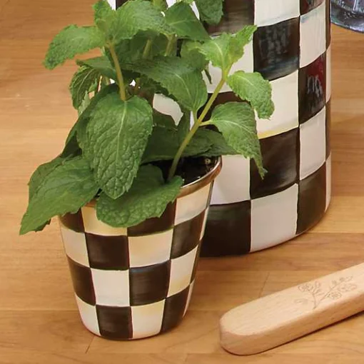 Courtly Check Herb Pots, Set of 3