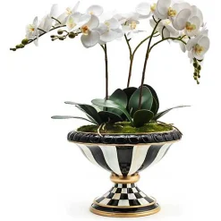 Courtly Check Orchid Arrangement