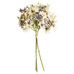 Daisy Bouquet