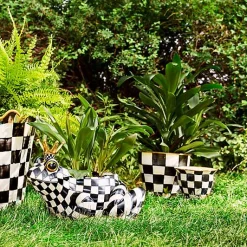 Fergal the Frog Planter