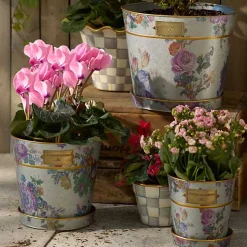 Flower Market Pots  Saucers, Set of 3