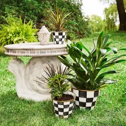 Garden Snail Table