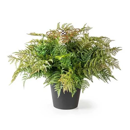 Potted Large Fern With Bee