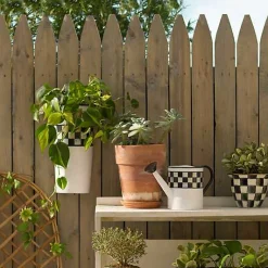 Spectator Wall Bucket