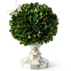 Sterling Check Small Boxwood Centerpiece
