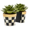 Succulent Bookends
