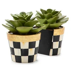 Succulent Bookends