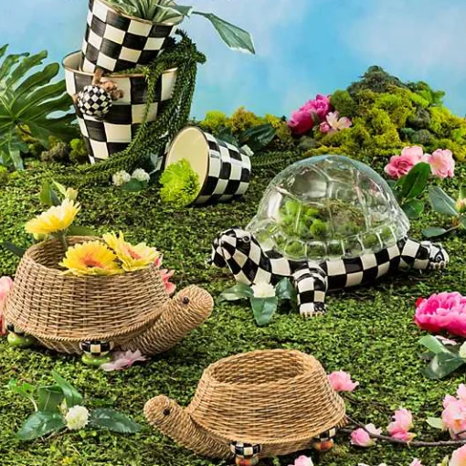 Turtle Pot Climber